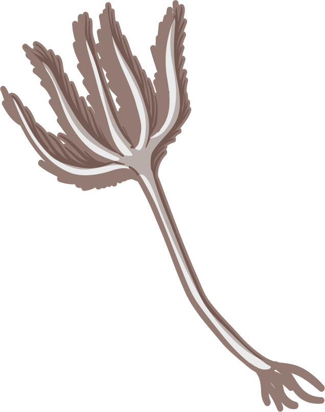 Fossil under the ground illustration