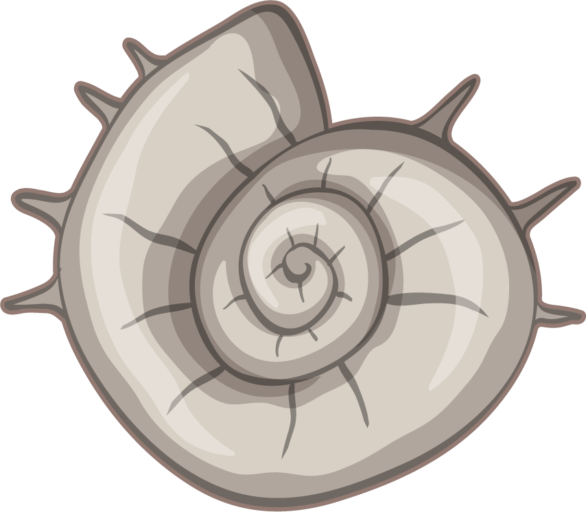 fossil under the ground illustration featuring a detailed snail shell design