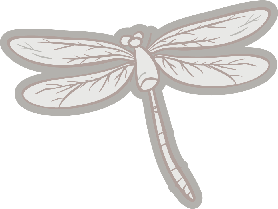 fossil under the ground illustration of a delicate dragonfly in soft colors