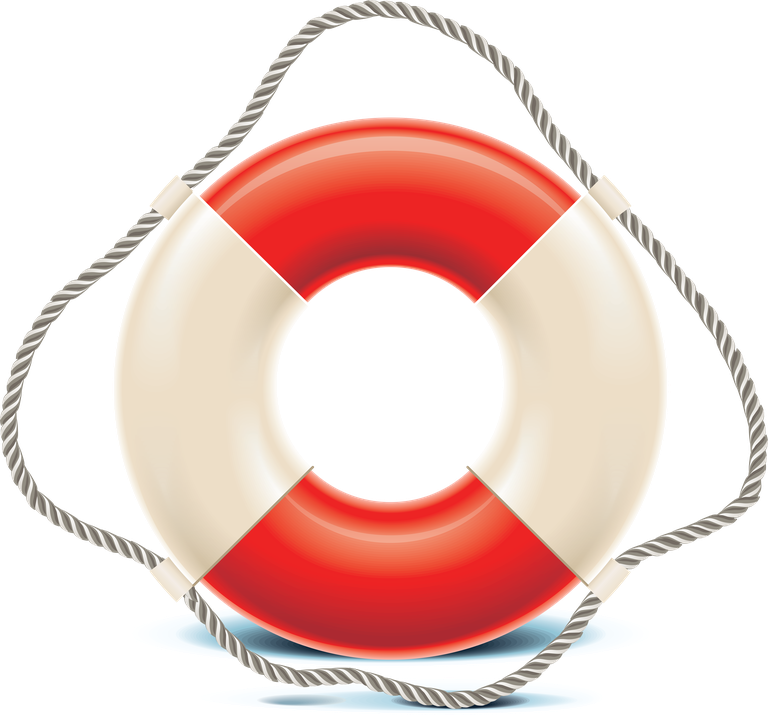 marine tourism icon vector featuring a lifebuoy for safety and adventure on the water
