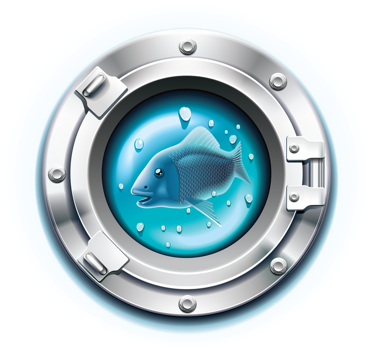 marine tourism icon vector showcasing a porthole with a fish and water bubbles