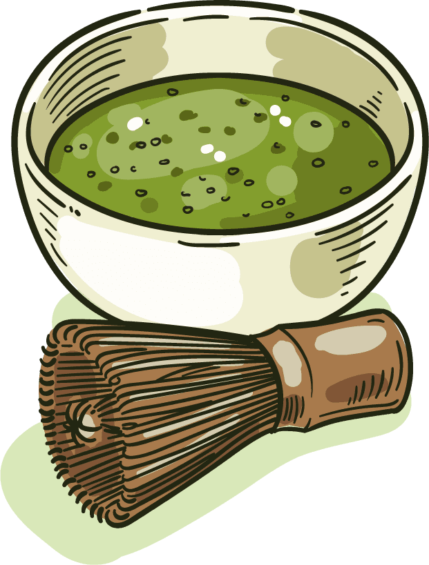 hand-drawn green tea varieties match sketch