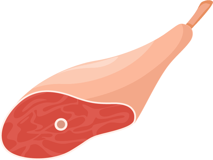 meat food icons colored sketch depicting various cuts for culinary delights and nutrition