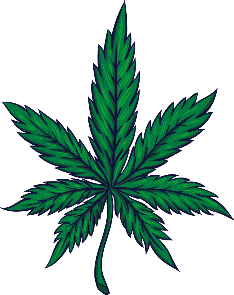 medicinal plants cannabis cigarette elements tree leaf sketch