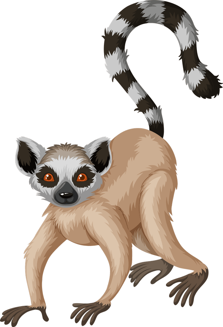 meerkat different type of wildlife animals on white background illustration