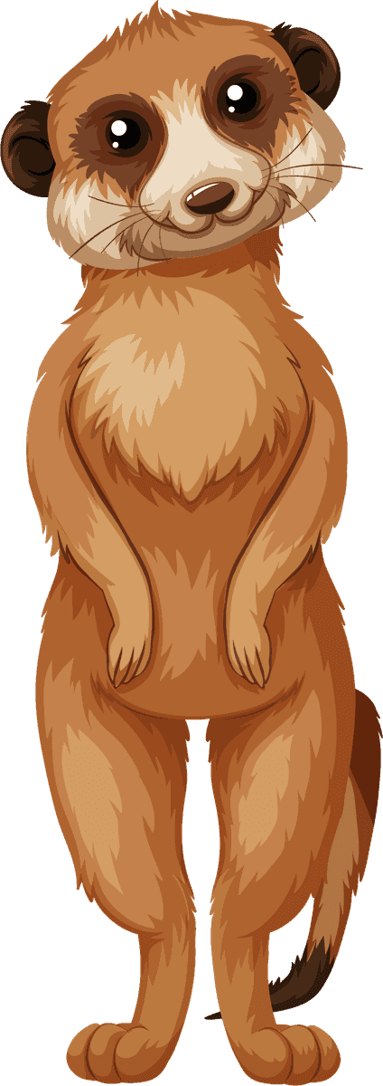 meerkat meerkat isolated white background for playful illustration and educational purposes