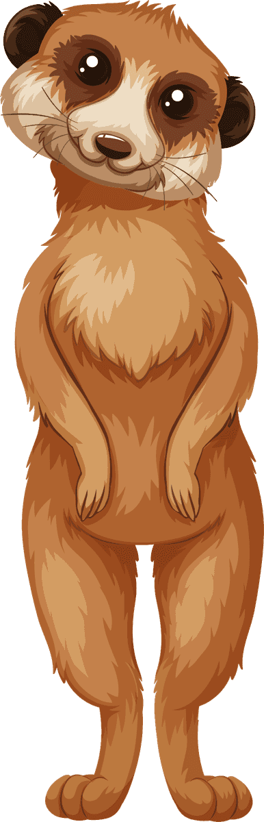 playful meerkat meerkat isolated white background for charming illustrations and designs
