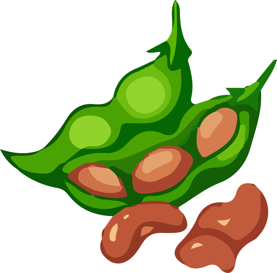 merge food art watercolor icon featuring vibrant green edamame and rich brown beans