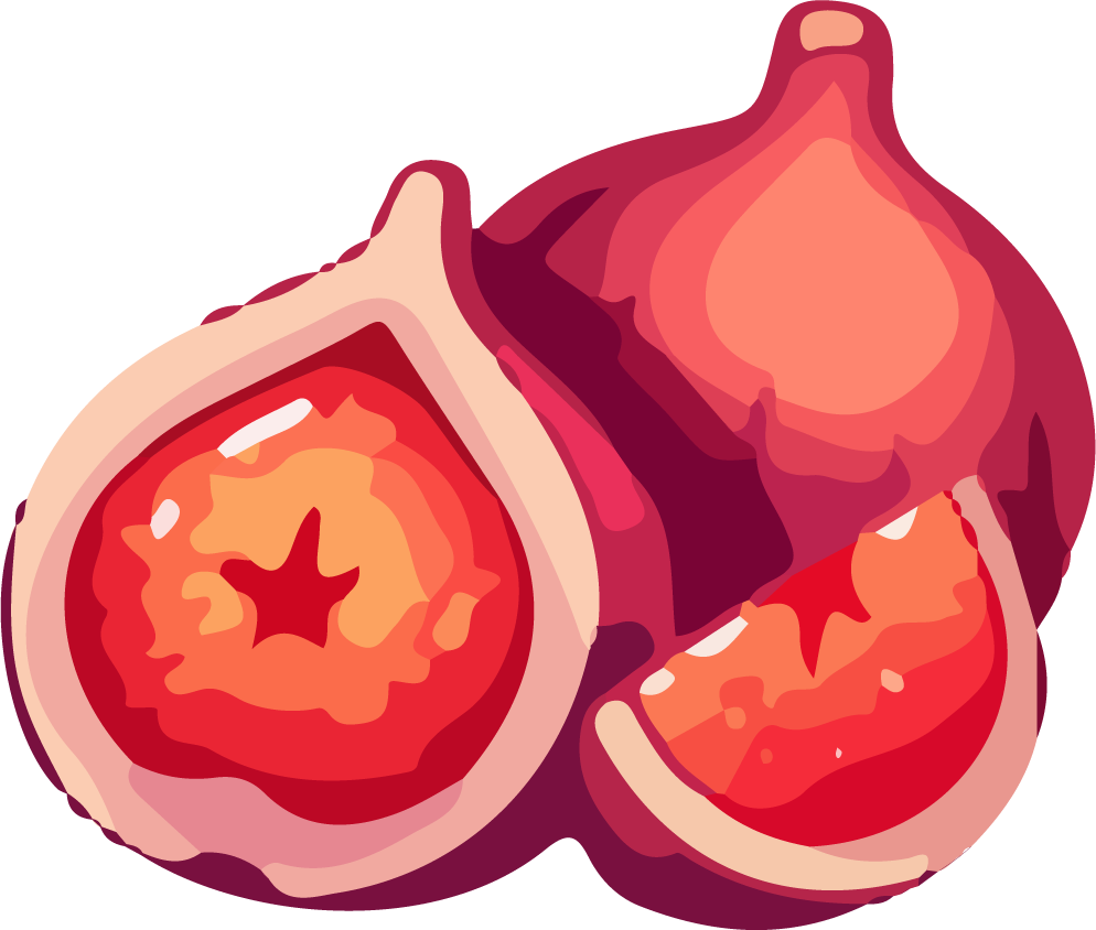 merge food art watercolor icon featuring vibrant fig slices for culinary creativity