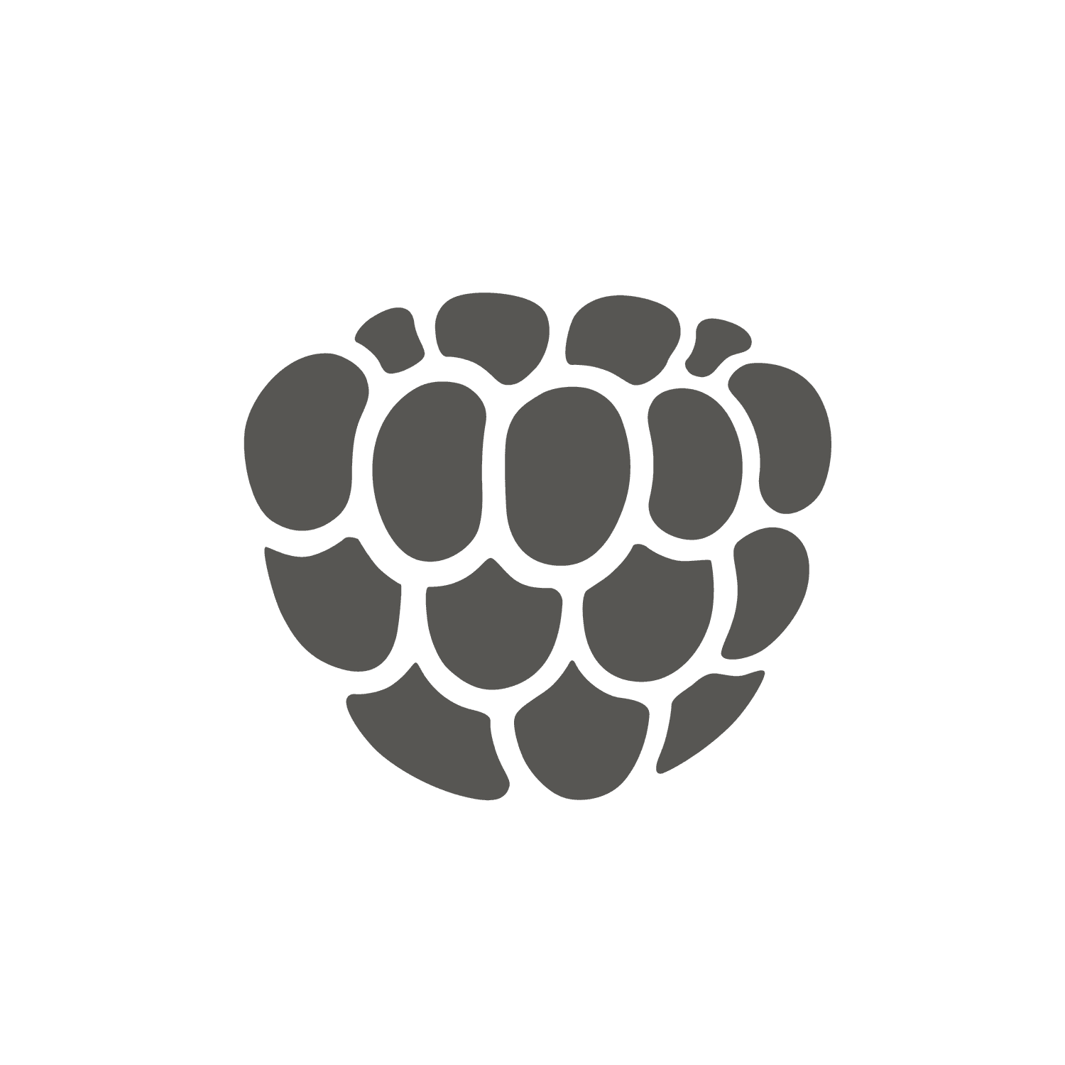 minimal gray fruit fill icon depicting a raspberry for modern culinary applications