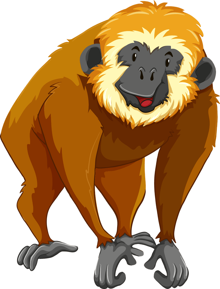 monkey different type of wildlife animals on white background illustration