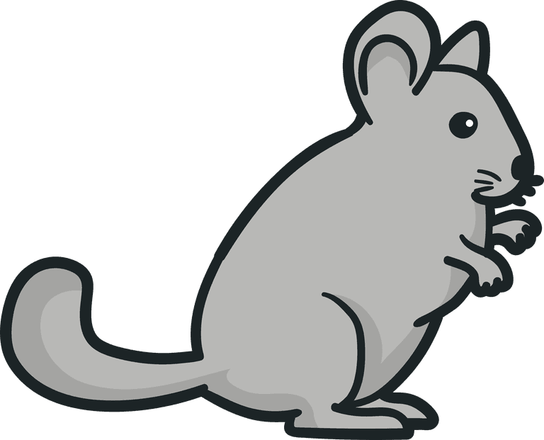 adorable mouse chinchilla illustration for children's books and educational materials