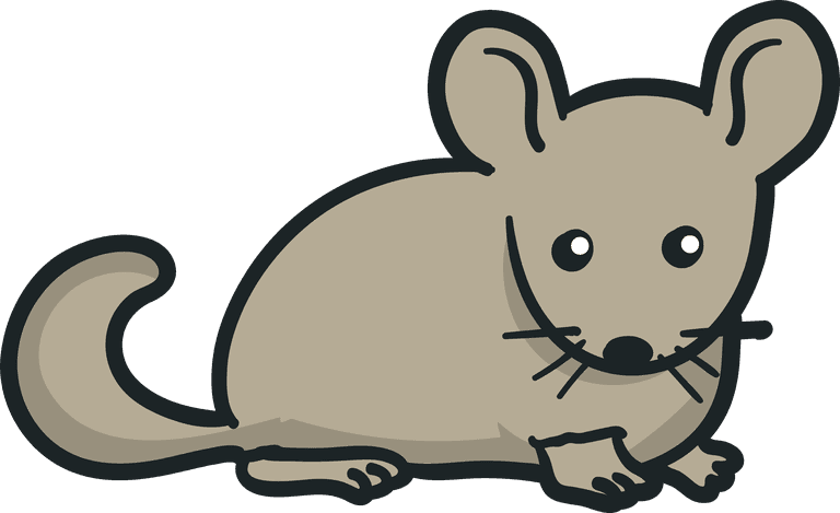 mouse chinchilla illustration 