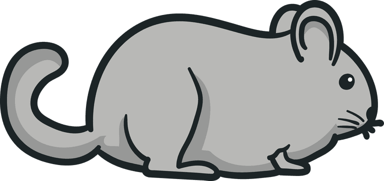 cute mouse chinchilla illustration for fun pet-themed projects and decorations