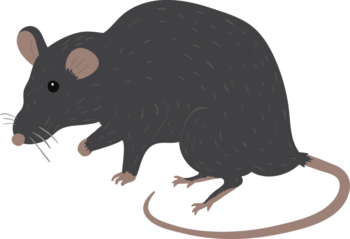 mouse collection different mice breeds with unique features and styles for various scenarios