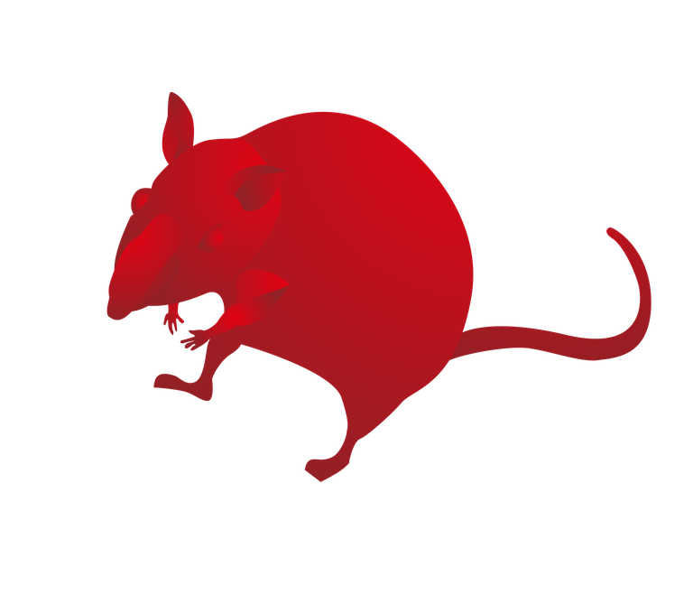 playful mouse mouse cartoons mice cartoons for children's illustrations and fun designs
