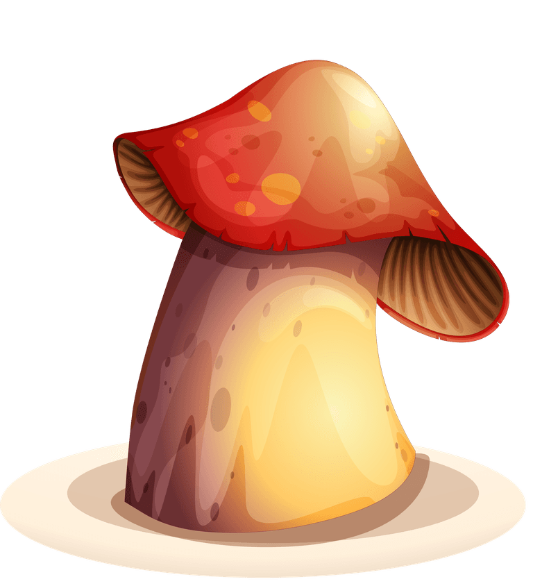 mushroom a colourful mushroom illustration