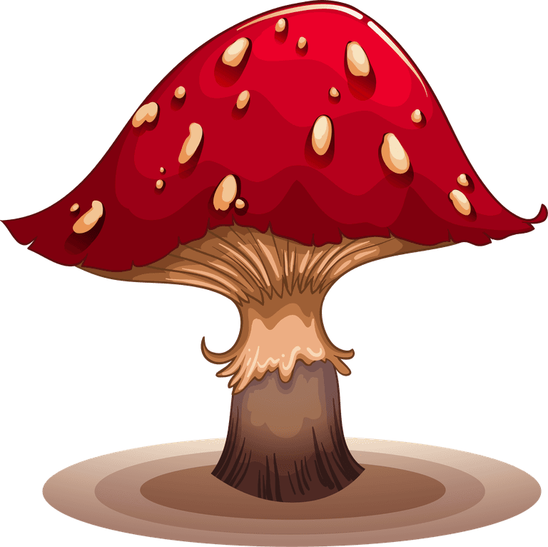 mushroom a colourful mushroom illustration