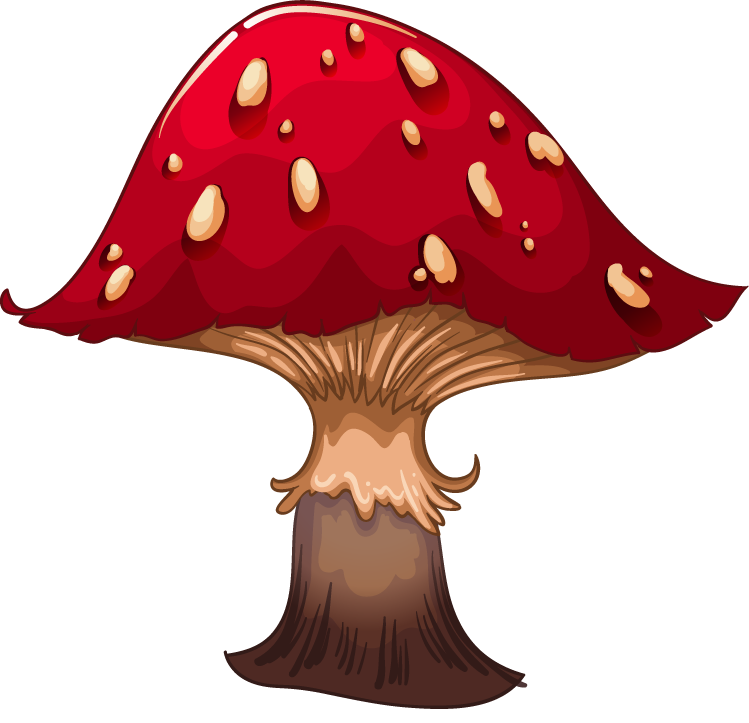 mushroom different kind of small animals