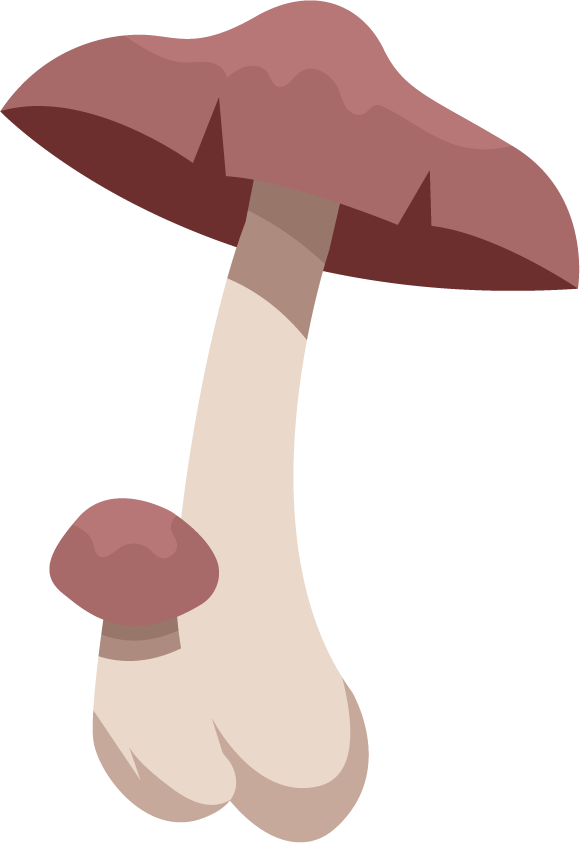 mushroom icons colored classic sketch for nature enthusiasts and culinary adventures