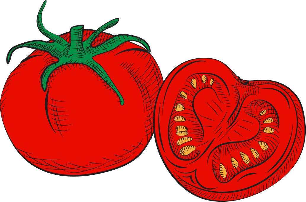mushroom icons colored classic sketch featuring whimsical details for organic aesthetics