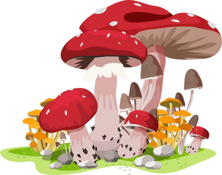 mushroom icons colorful growth sketch