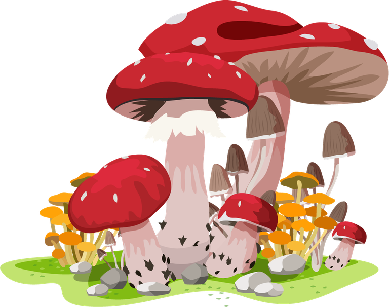mushroom icons colorful growth sketch featuring vibrant fungi and whimsical details