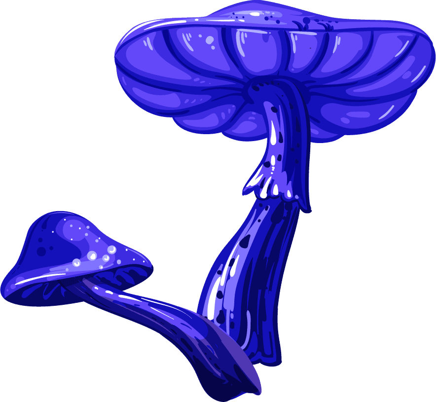 mushroom mushroom icons colorful growth sketch
