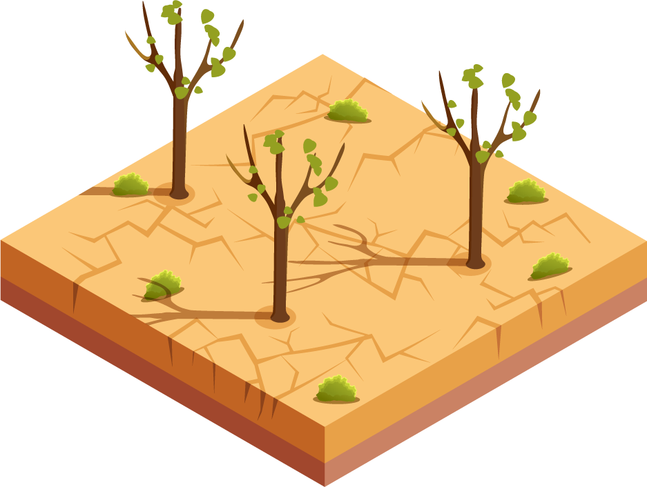 isometric natural disaster illustration depicting a barren landscape with dried trees and cracked ground