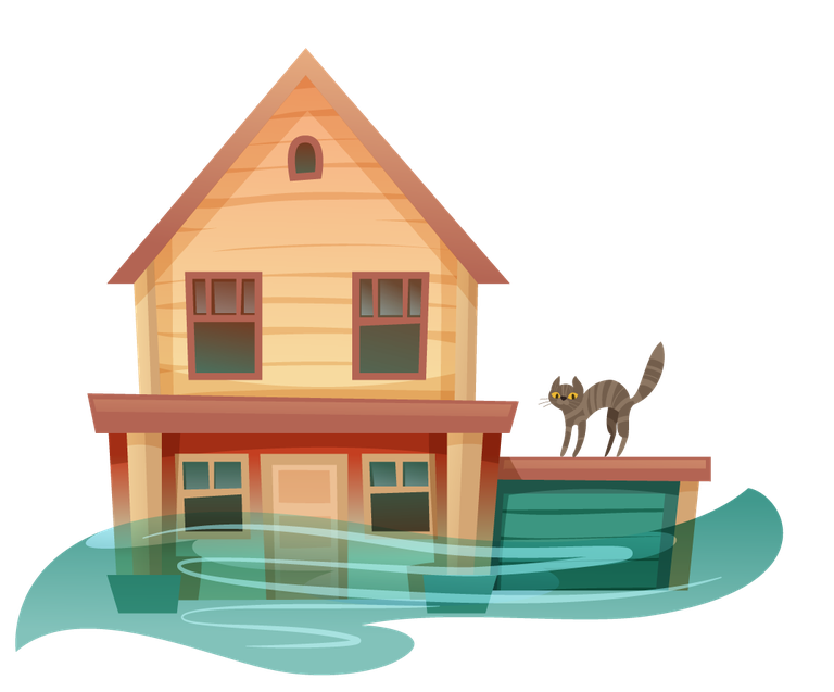 natural disasters cartoon icons featuring flooded house and cat for fun educational materials