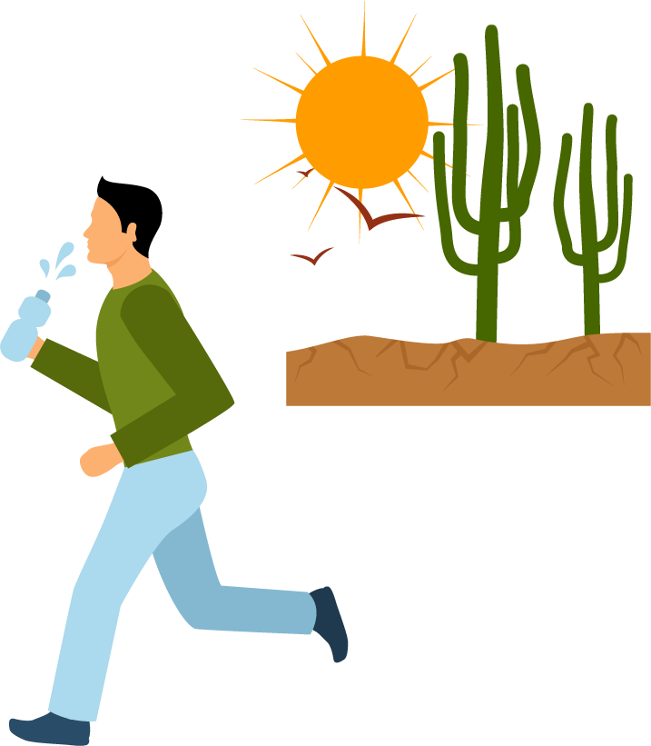 natural disasters escape images depicting survival in arid environments with vibrant sun and cacti