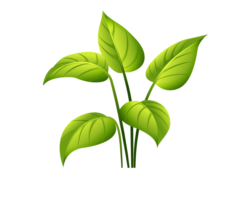 isolated forest trees illustration showcasing vibrant green foliage for ecological designs