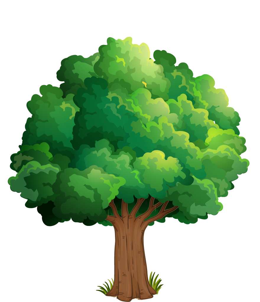 isolated forest trees illustration