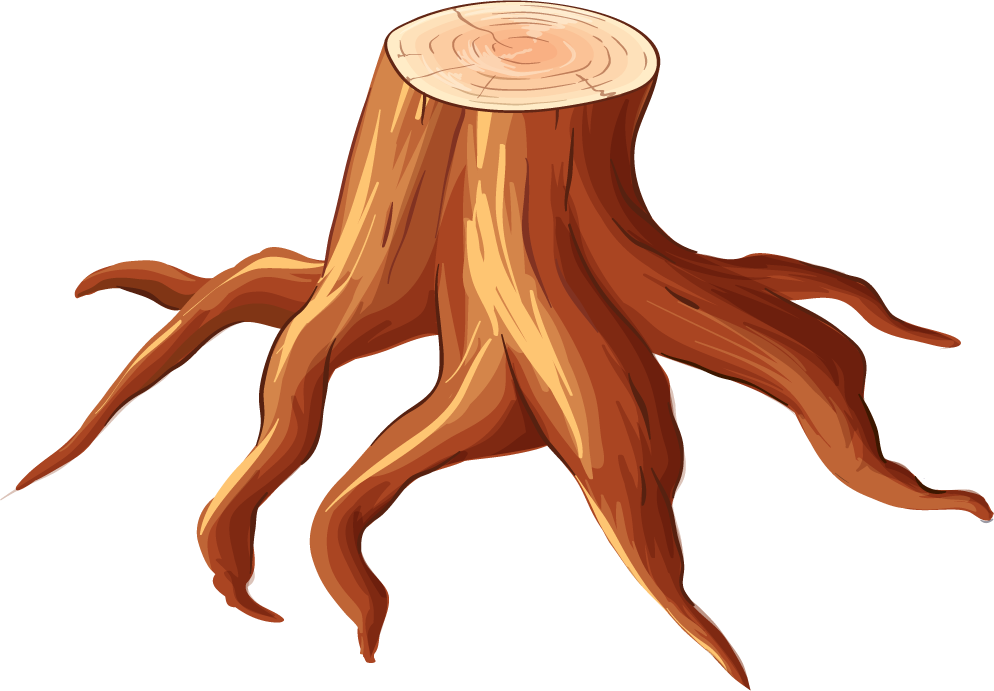 isolated forest trees illustration featuring detailed tree stump with textured roots