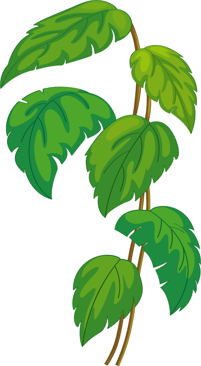 isolated forest trees illustration for nature-themed projects and eco-friendly designs
