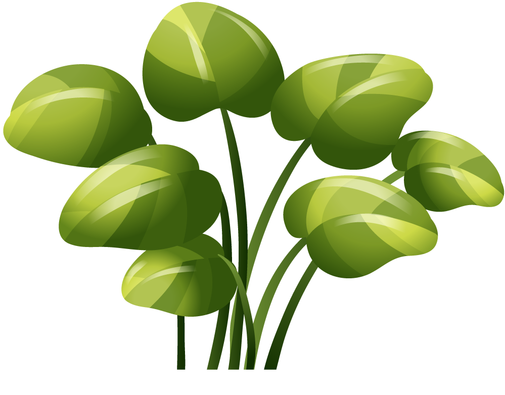 isolated forest trees illustration showcasing vibrant green foliage for nature-themed projects