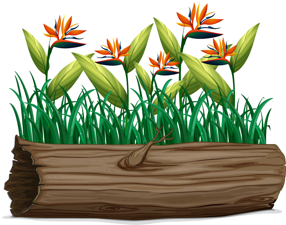 isolated forest trees illustration with vibrant flowers and lush greenery for nature lovers