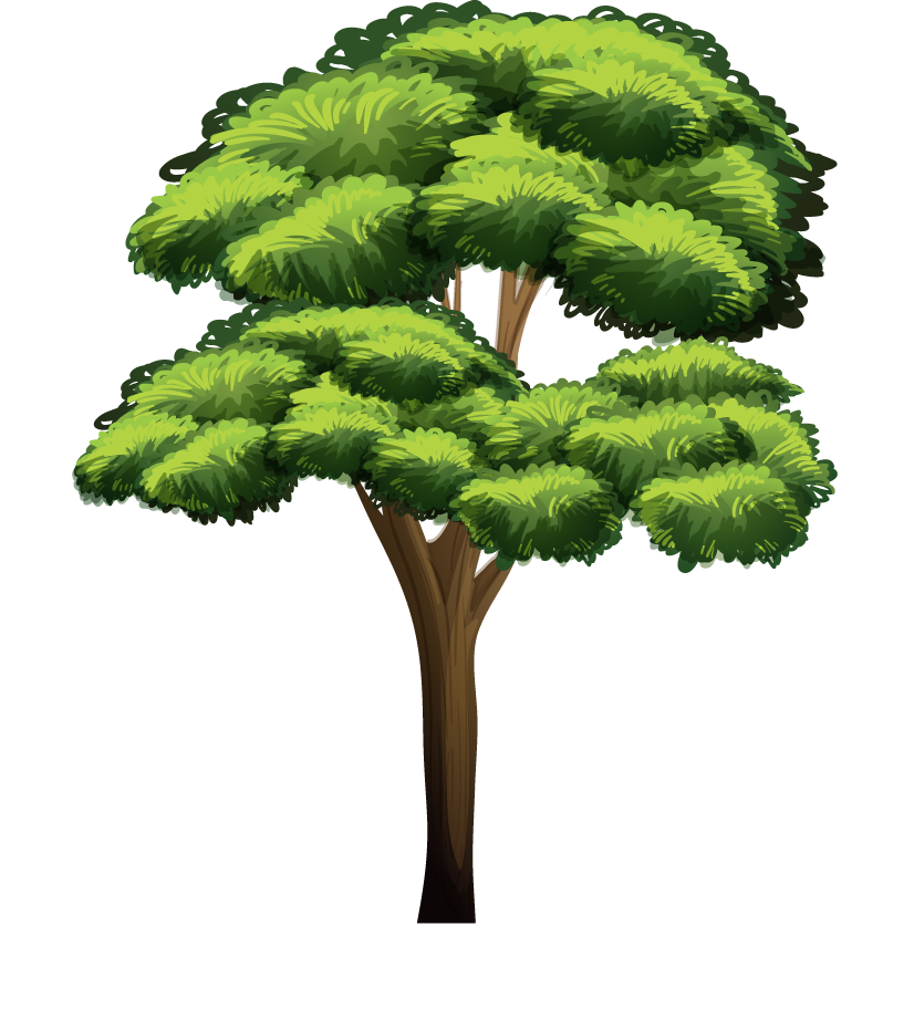 isolated forest trees illustration with lush green canopy for nature-themed projects