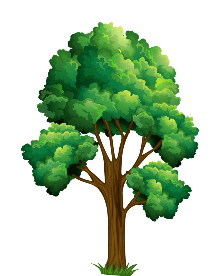 isolated forest trees illustration