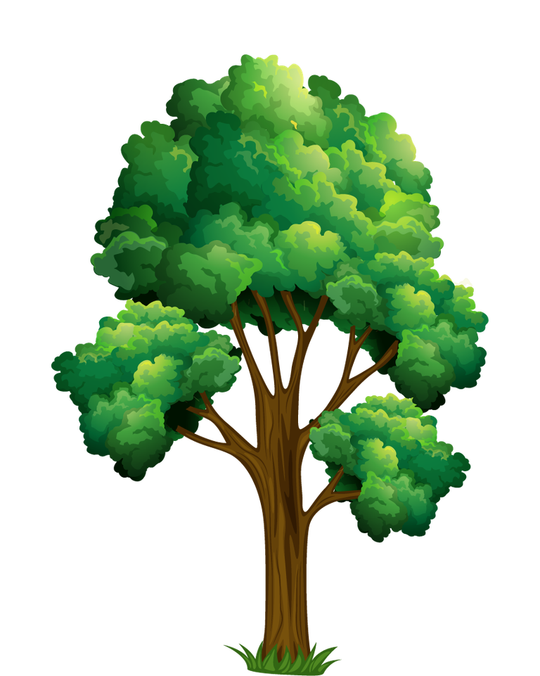 isolated forest trees illustration with lush green foliage for eco-friendly designs and nature themes