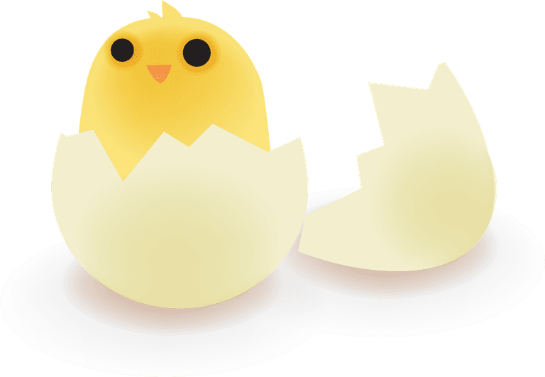 newly hatched chicks broken eggs and cartoon chickens vector