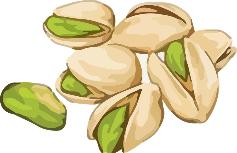 nuts hands food vector showcasing healthy snacking options with pistachios illustration