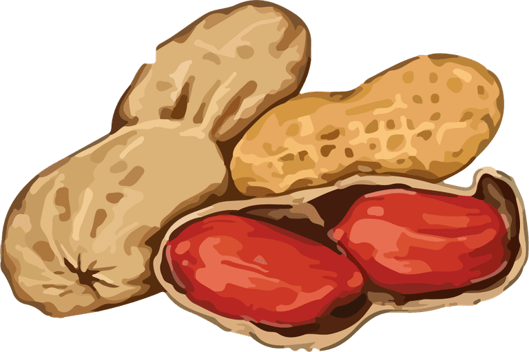 nuts hands food vector featuring colorful peanuts ideal for culinary illustrations and recipes
