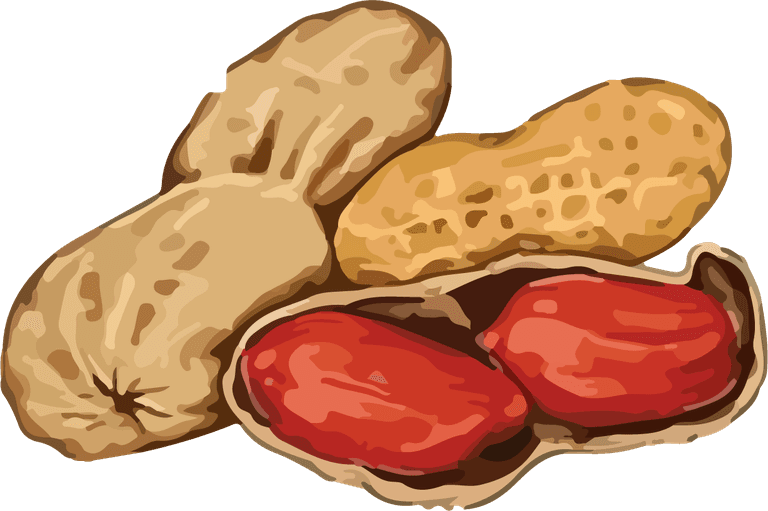 nuts hands food vector