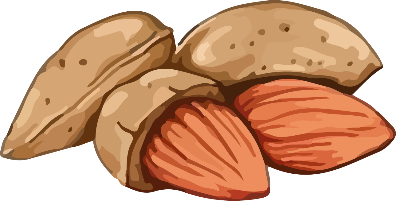 nuts hands food vector showcasing healthy snacks perfect for marketing and culinary use