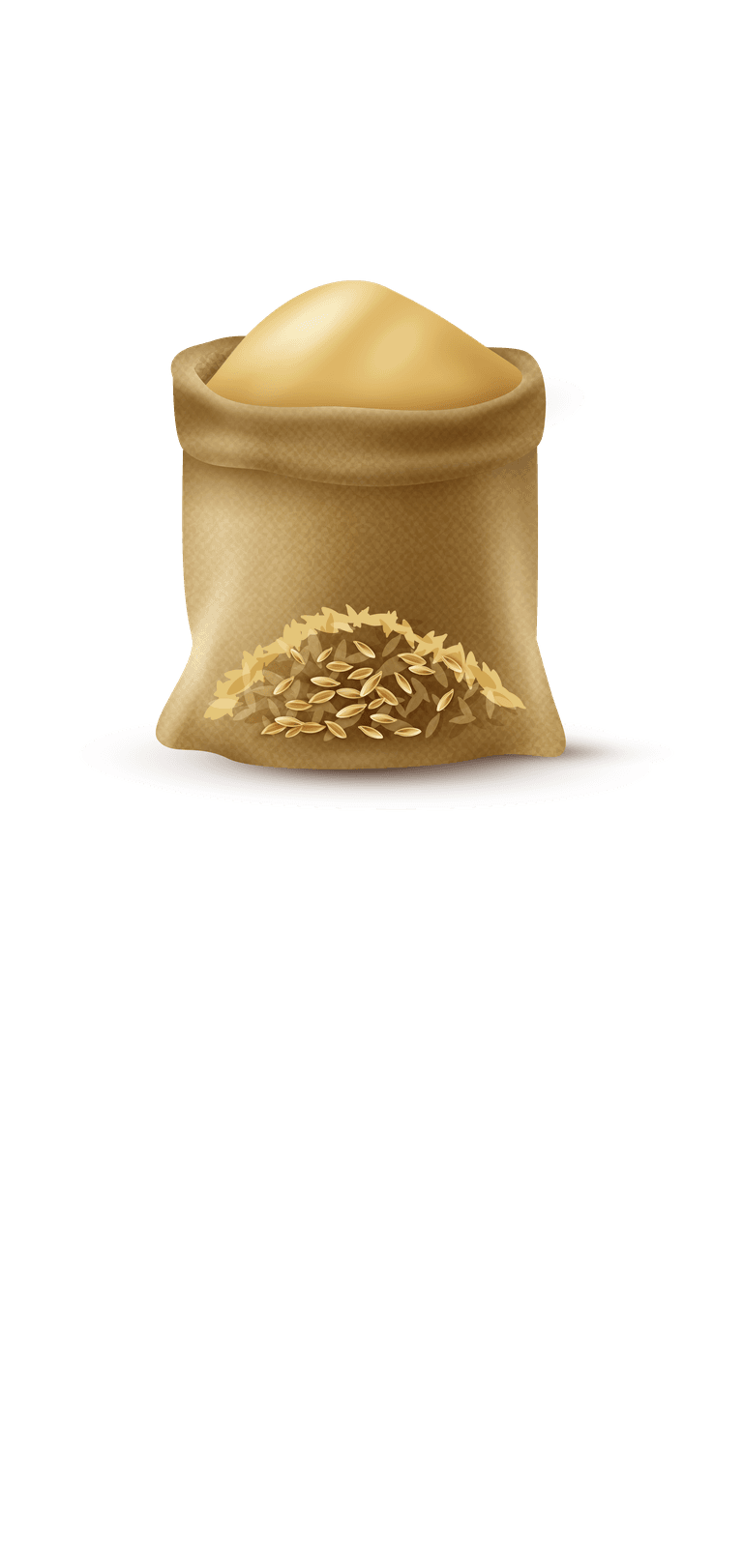 oats agricultural cereals set with realistic textures and natural colors for food packaging