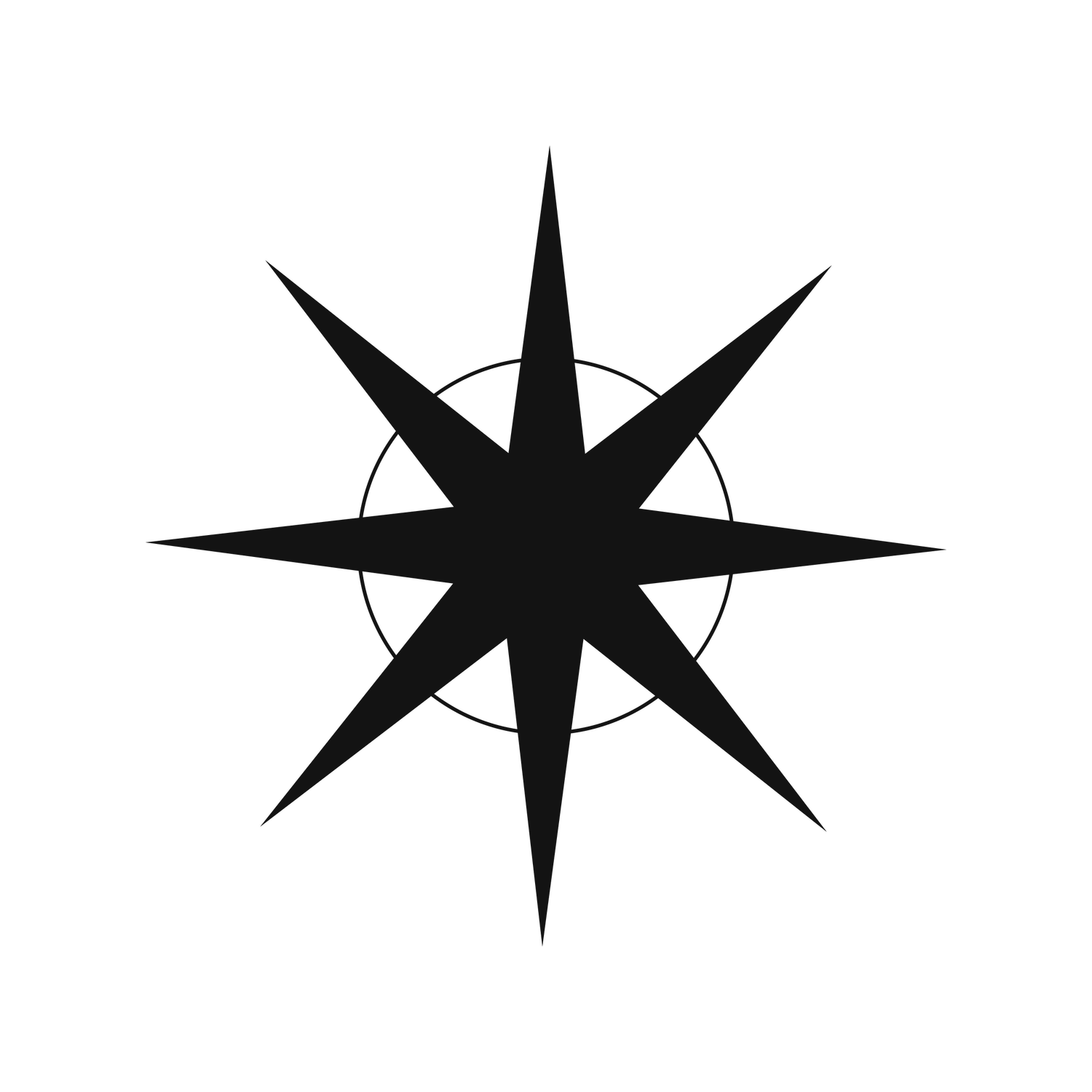 simple black eight-pointed star element within a circle