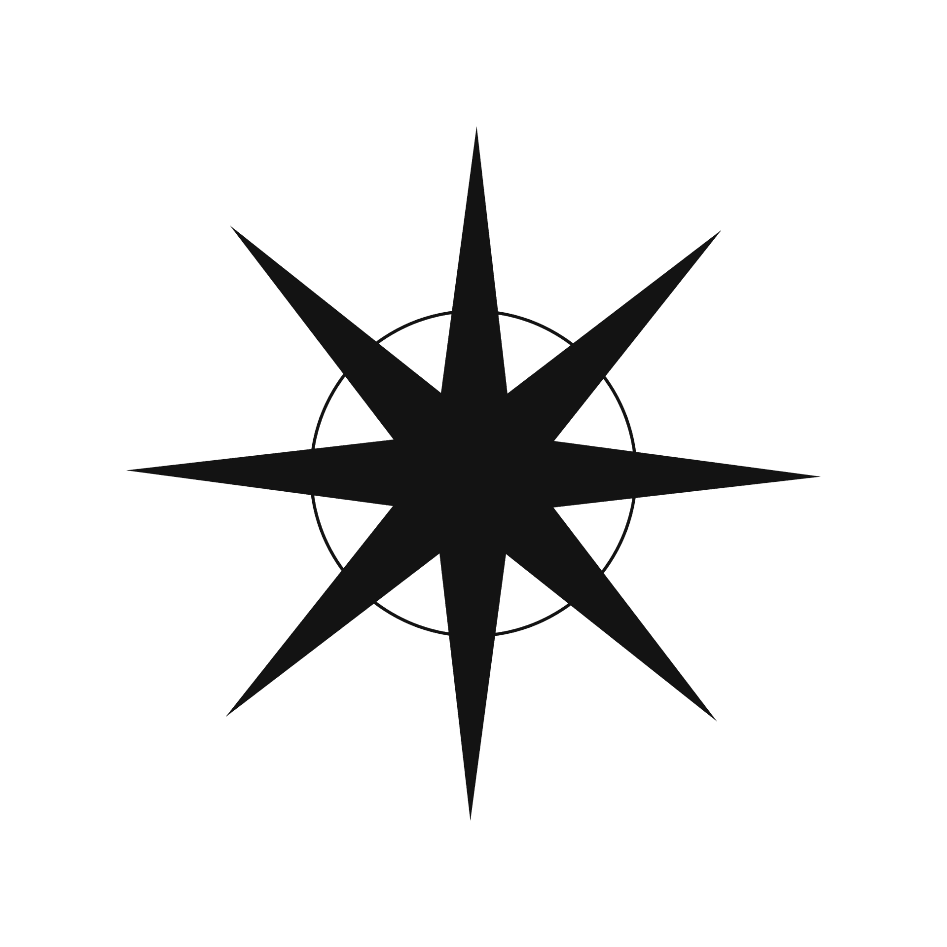 simple black eight-pointed star element within a circle