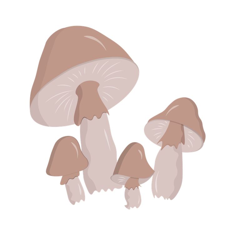 various colorful cute object illustration of playful mushrooms for nature lovers
