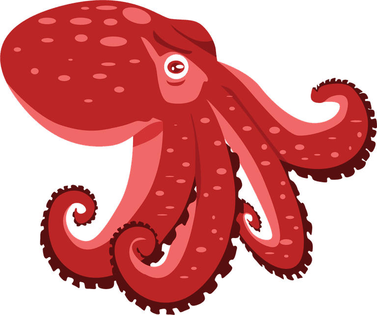 octopus marine animals common seafood in vibrant colors for culinary delights and more